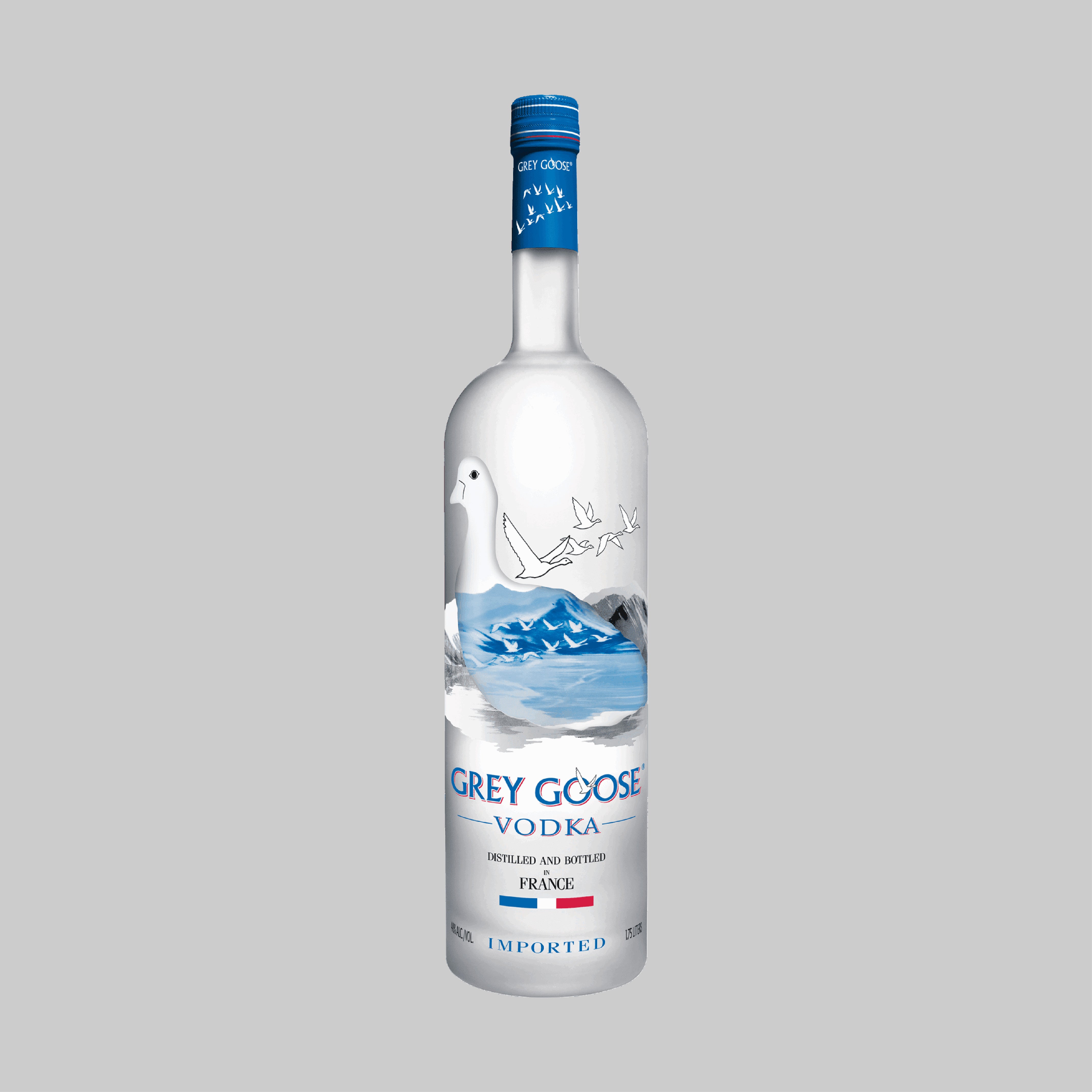 Grey Goose Vodka 4500ml 40.0% | TIME2DRINK